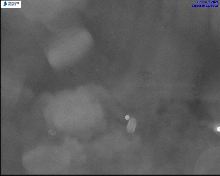 64277-1787104648.jpg