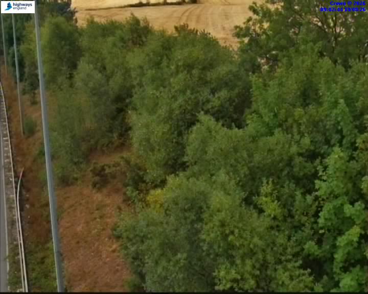 64061-1787130167.jpg