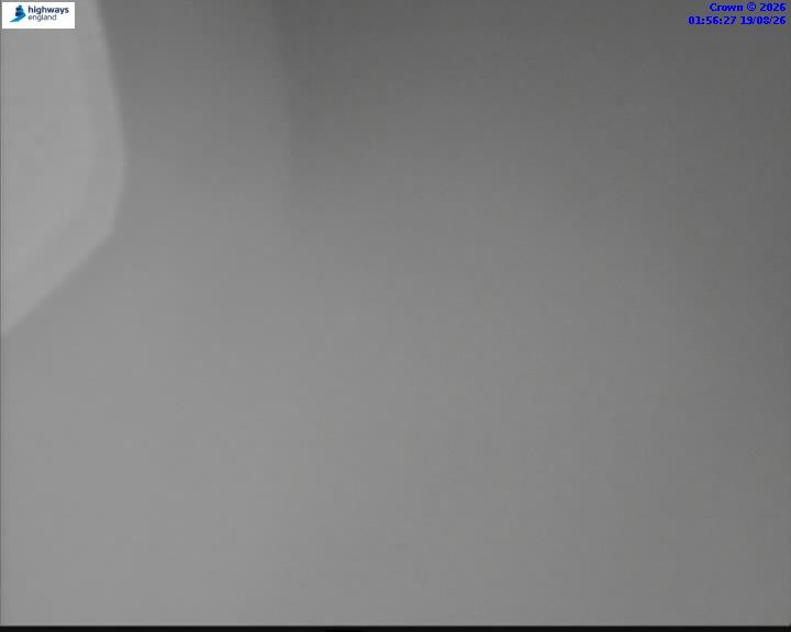 64096-1787104618.jpg