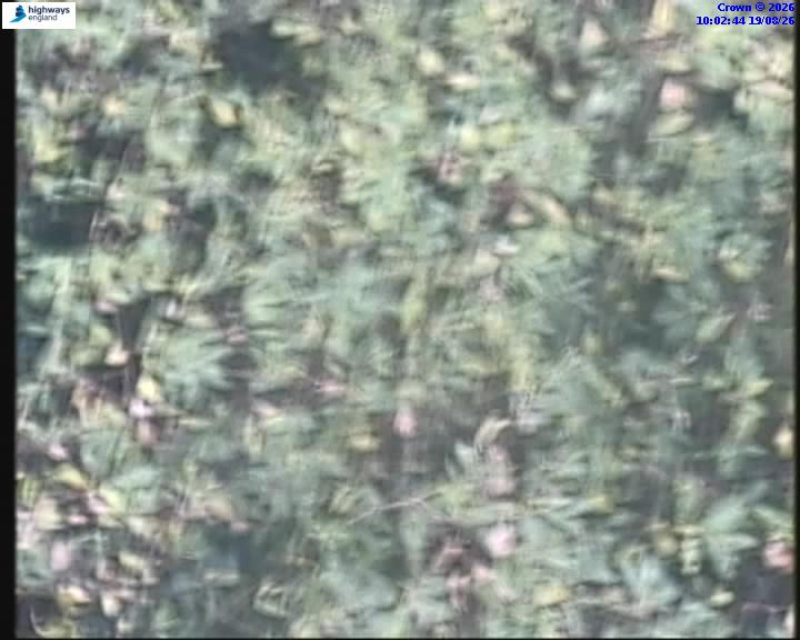 Click for full screen live camera. M61 32330 J9