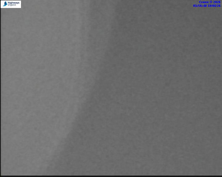 64316-1787104629.jpg