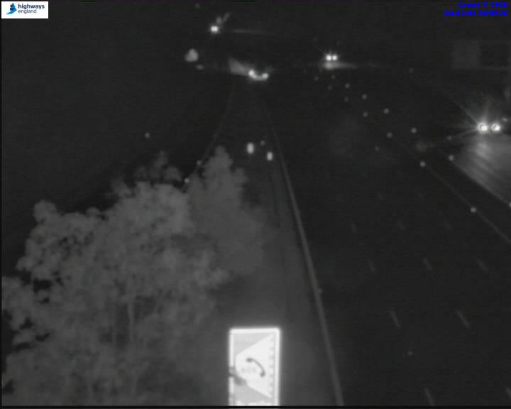 24659-1787198606.jpg