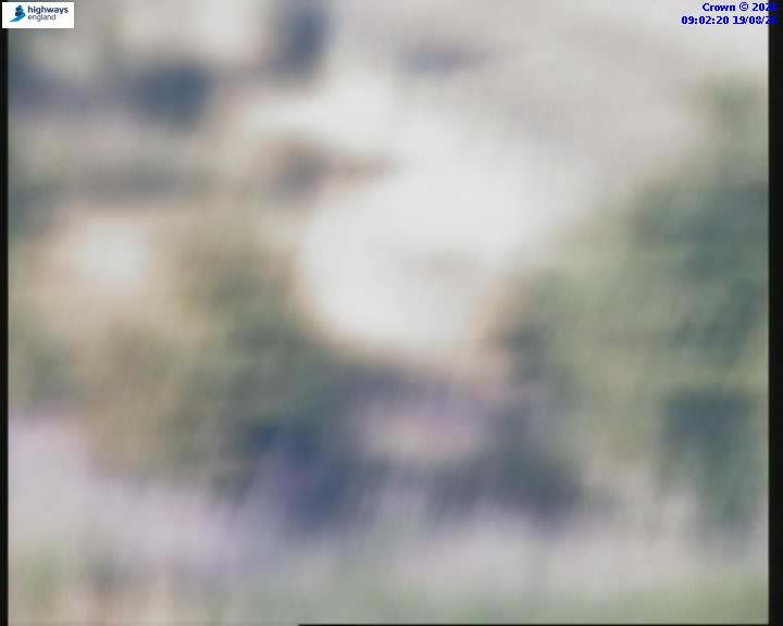 27608-1787130155.jpg