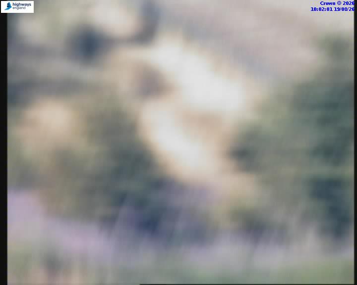 27608-1787133723.jpg
