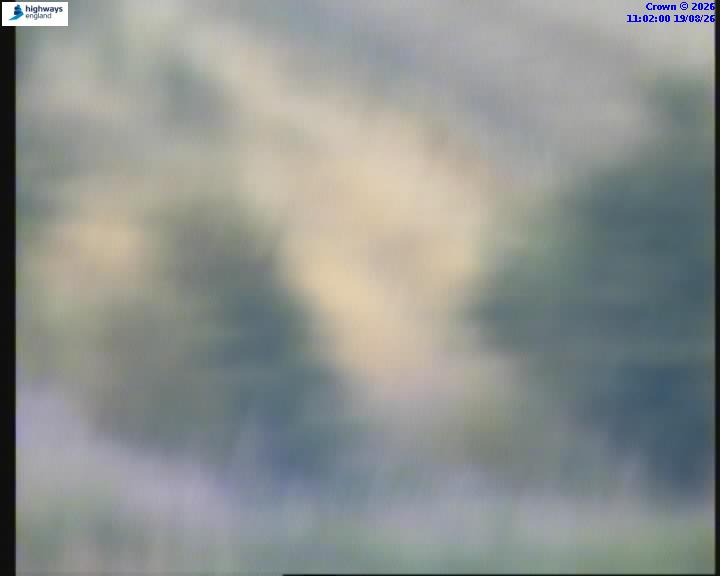 27608-1787137332.jpg