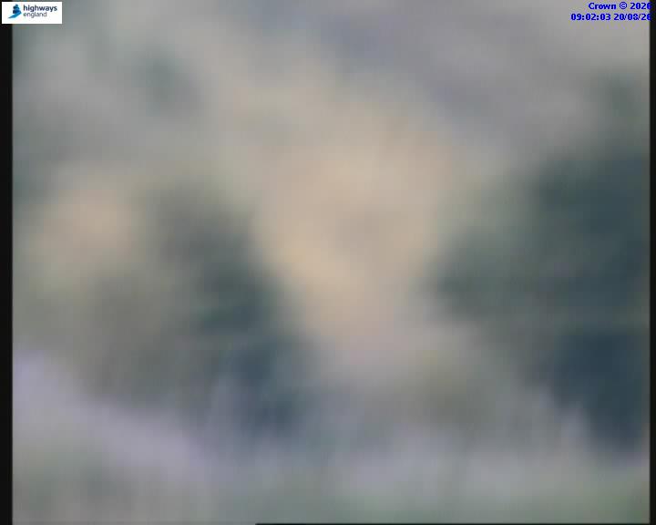 27608-1787216544.jpg