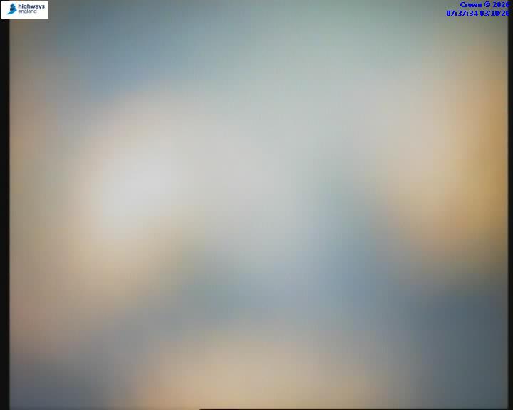 7:37 AM