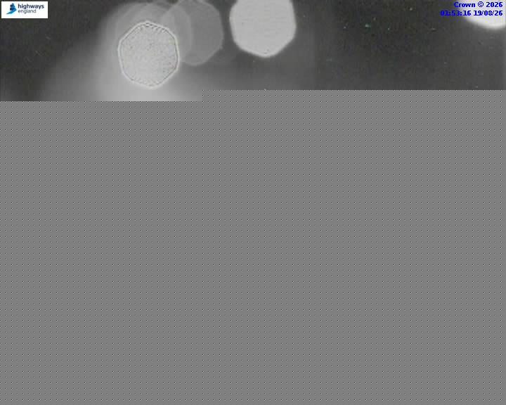 52154-1787104440.jpg