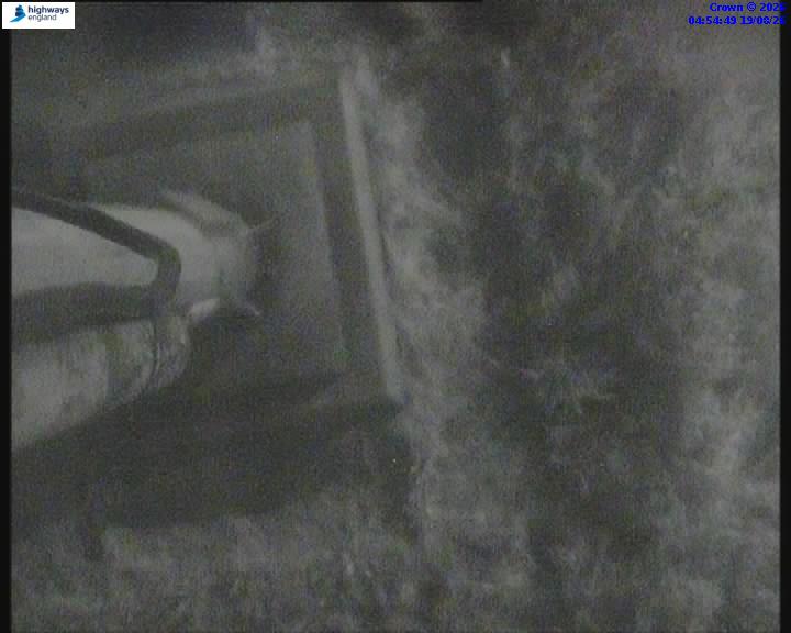 31751-1787115316.jpg