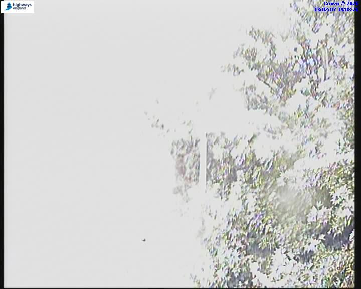 21929-1787144530.jpg