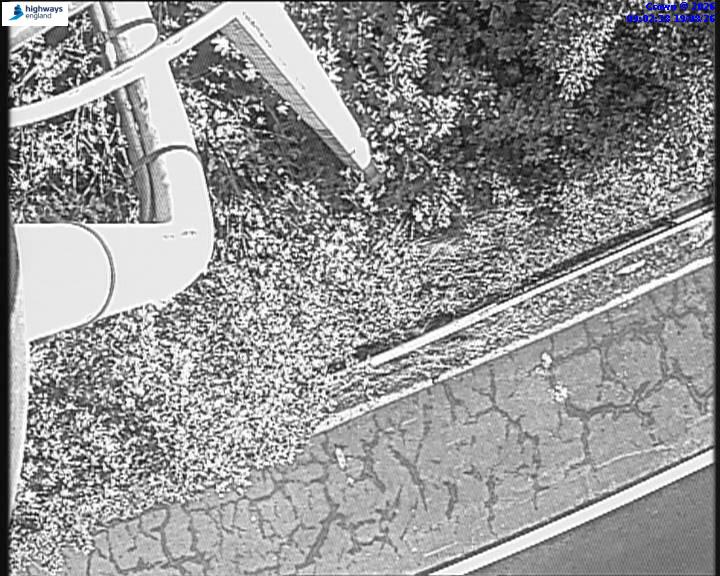 21008-1787130152.jpg