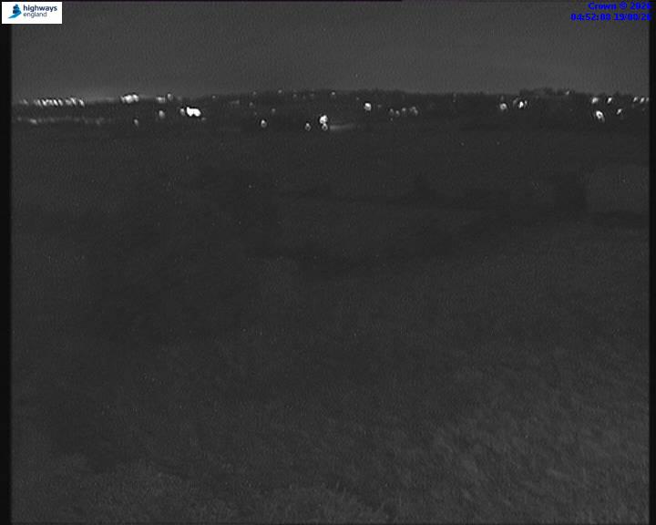 22131-1787115154.jpg