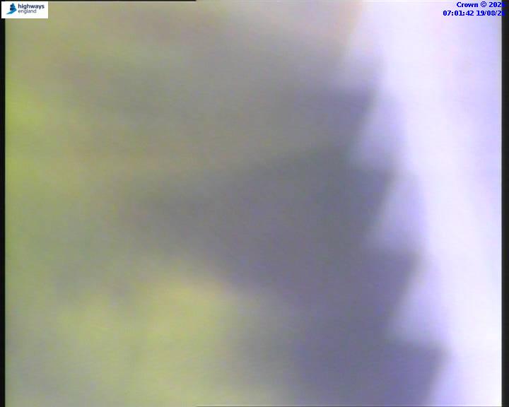 22199-1787122921.jpg