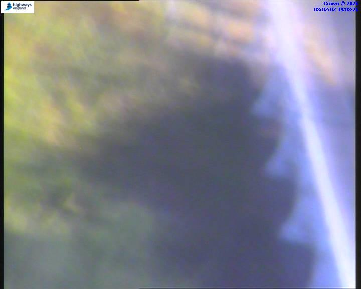 22199-1787126543.jpg