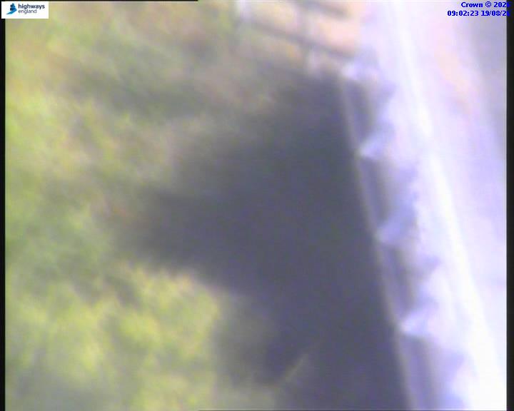22199-1787130146.jpg