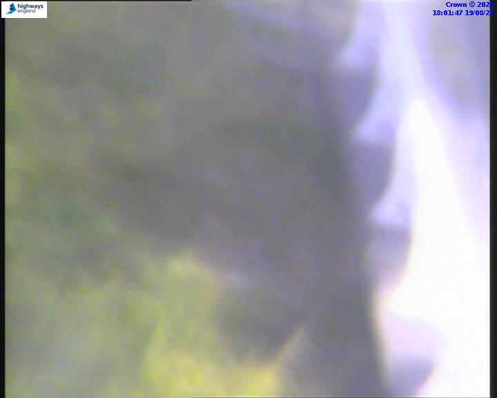 22199-1787162527.jpg