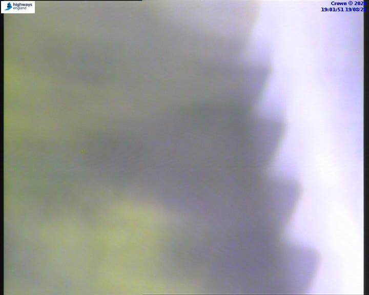 22199-1787166121.jpg