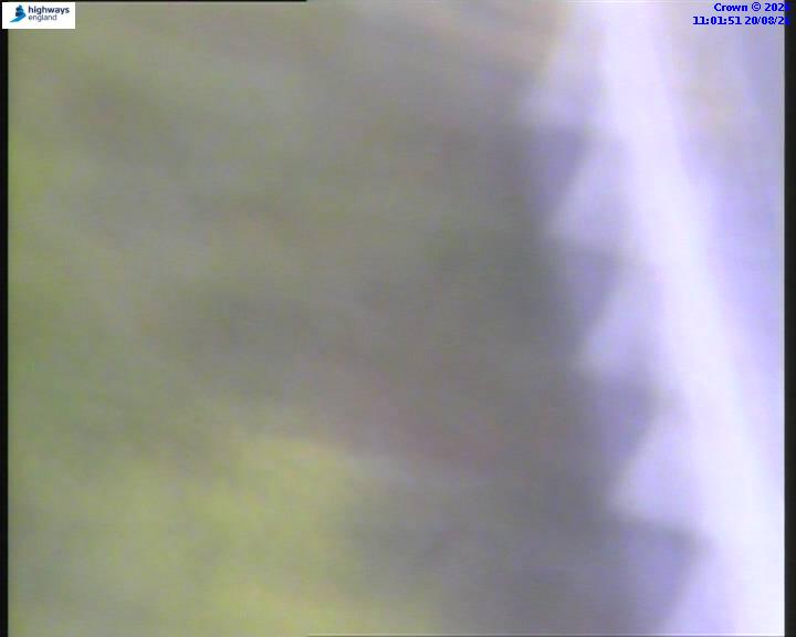22199-1787223730.jpg