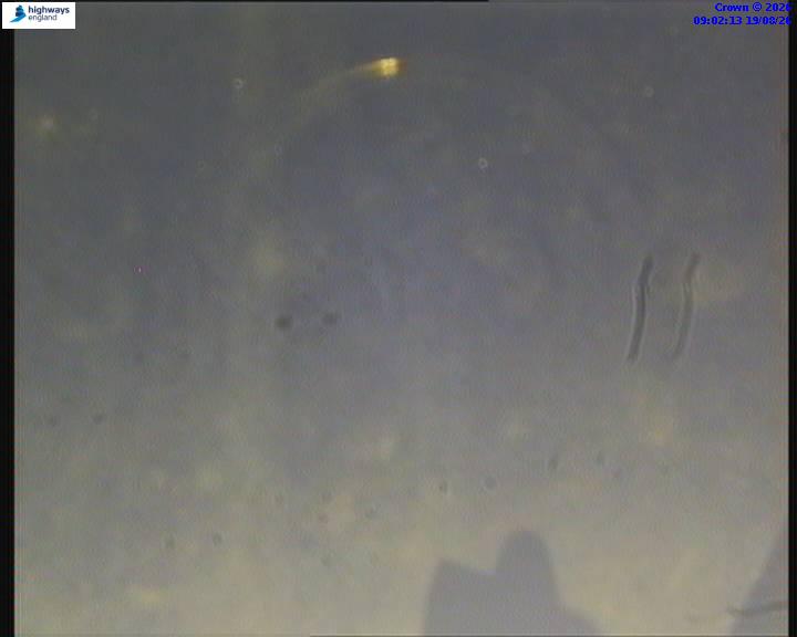 22275-1787130146.jpg