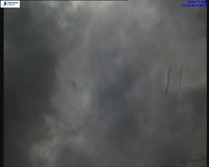 22275-1787144523.jpg