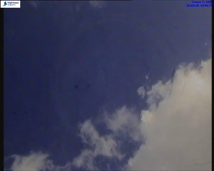 22275-1787155320.jpg