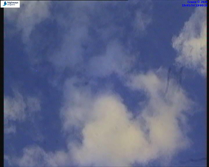 22275-1787166119.jpg