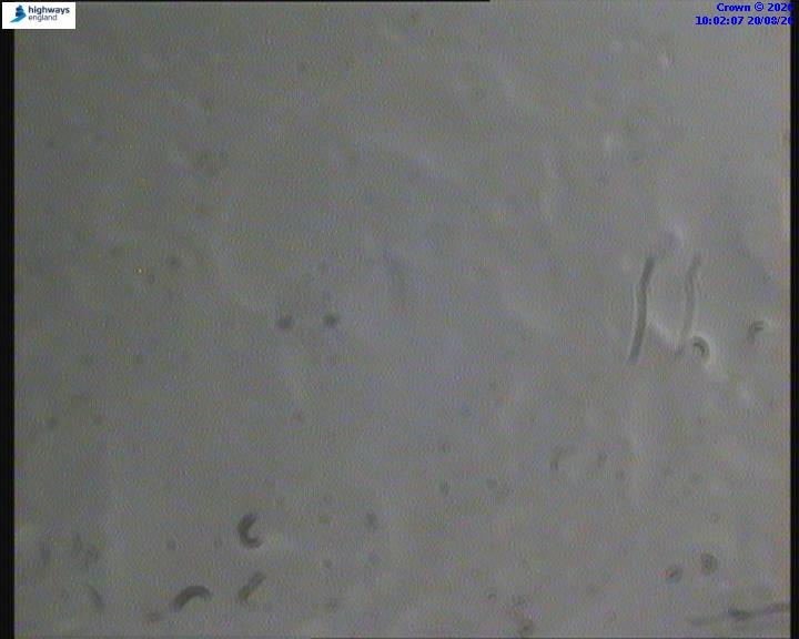 22275-1787220135.jpg