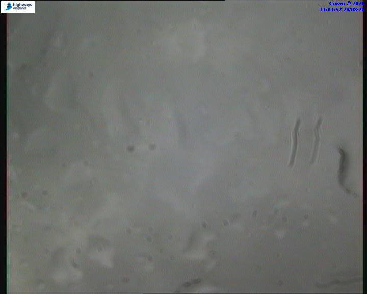 22275-1787223728.jpg