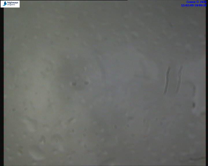 22275-1787227337.jpg