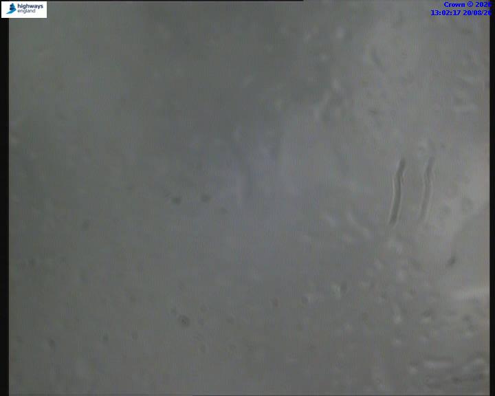22275-1787230941.jpg