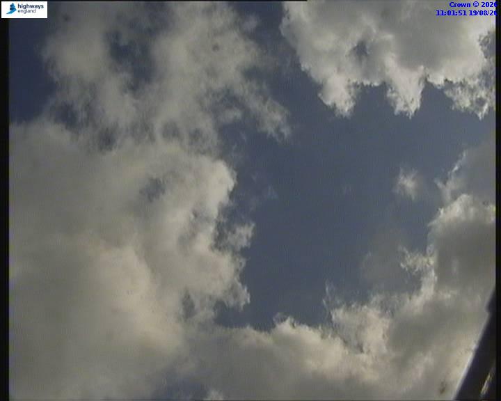 22282-1787137322.jpg