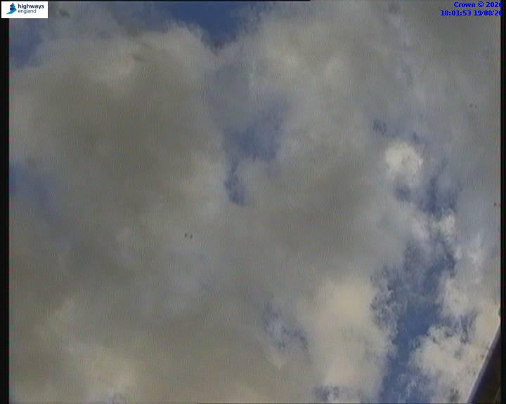 22282-1787162525.jpg