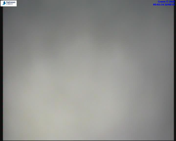 21020-1787040166.jpg