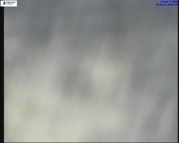 21020-1787072537.jpg