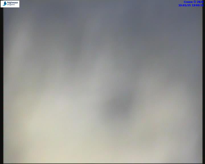 21020-1787162519.jpg