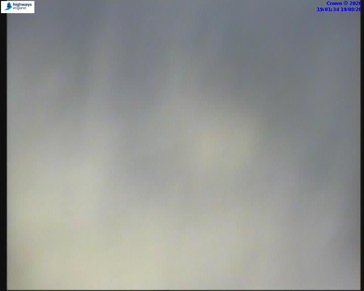 21020-1787166114.jpg