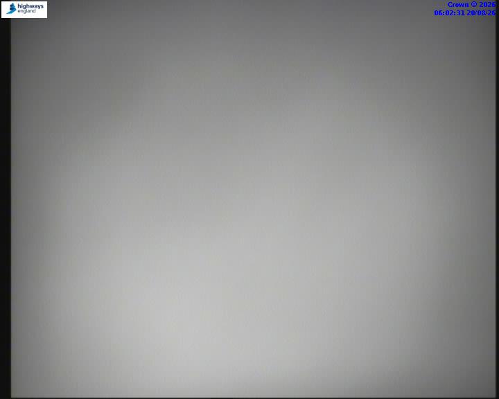 21020-1787205756.jpg