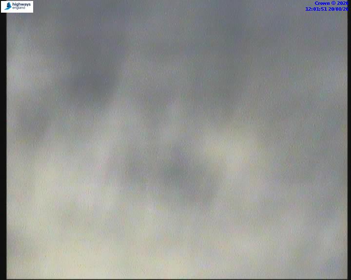 21020-1787227330.jpg