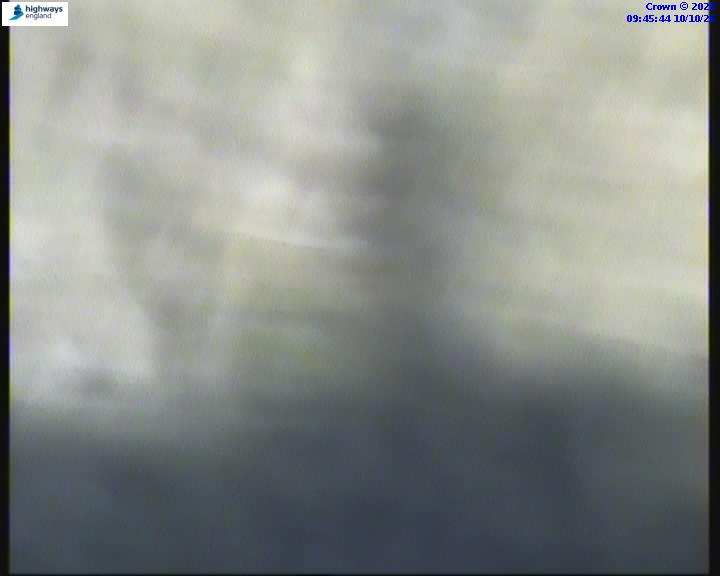 21020-1791625564.jpg
