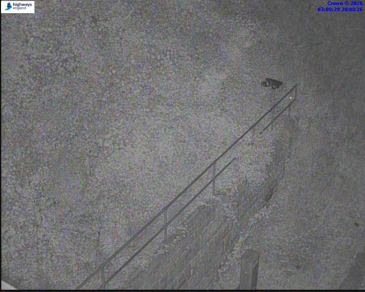 16502-1787195323.jpg