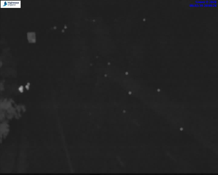 16993-1787184179.jpg