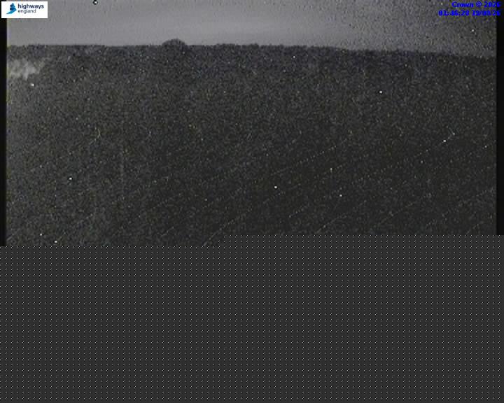 16650-1787104017.jpg