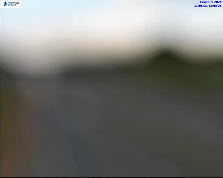 16884-1787159192.jpg
