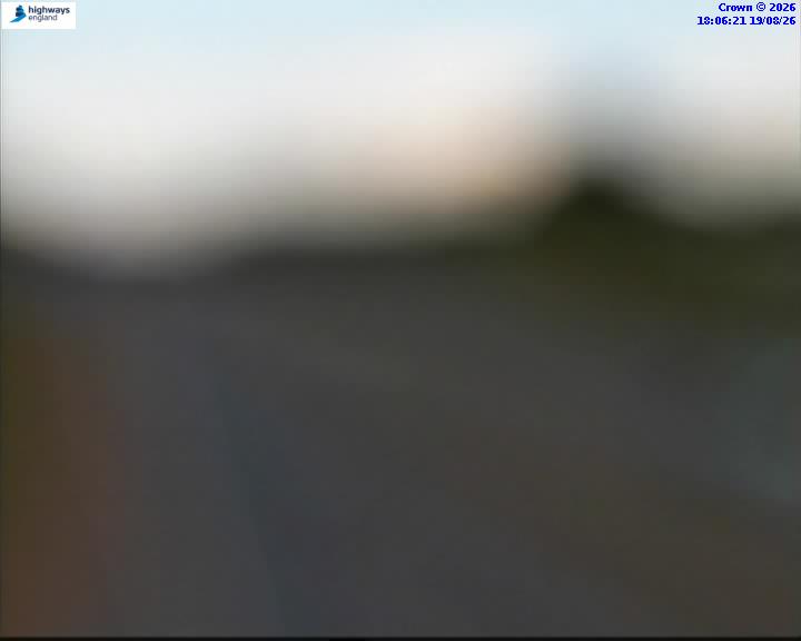 16884-1787162793.jpg