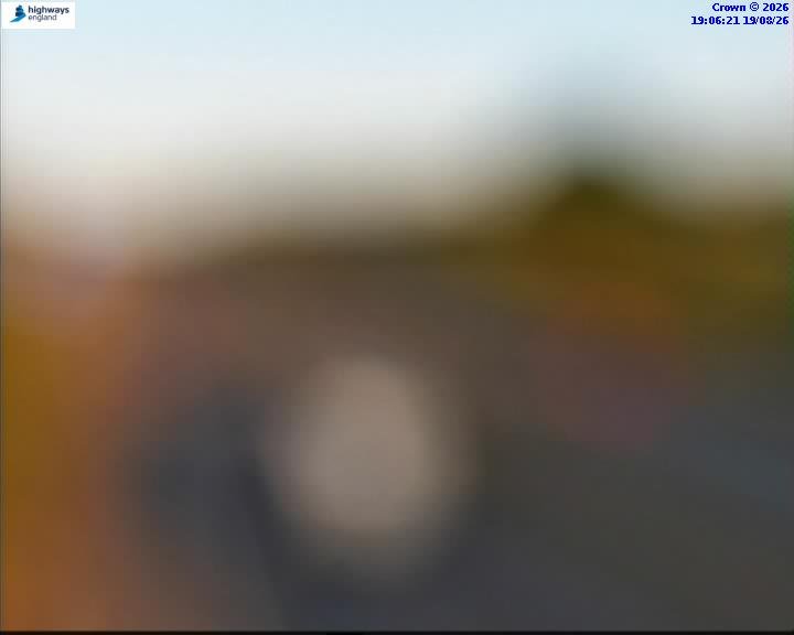 16884-1787166385.jpg