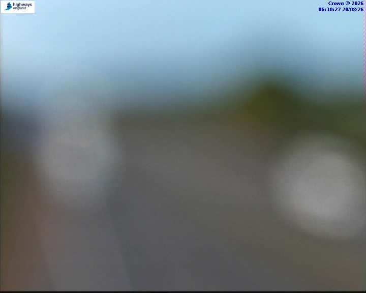 16884-1787206229.jpg
