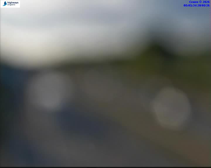 16884-1787212914.jpg