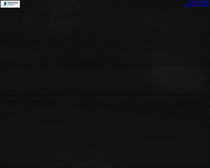 14138-1787008149.jpg