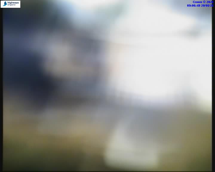 14094-1787216822.jpg