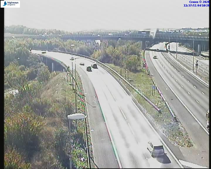 11:38 AM